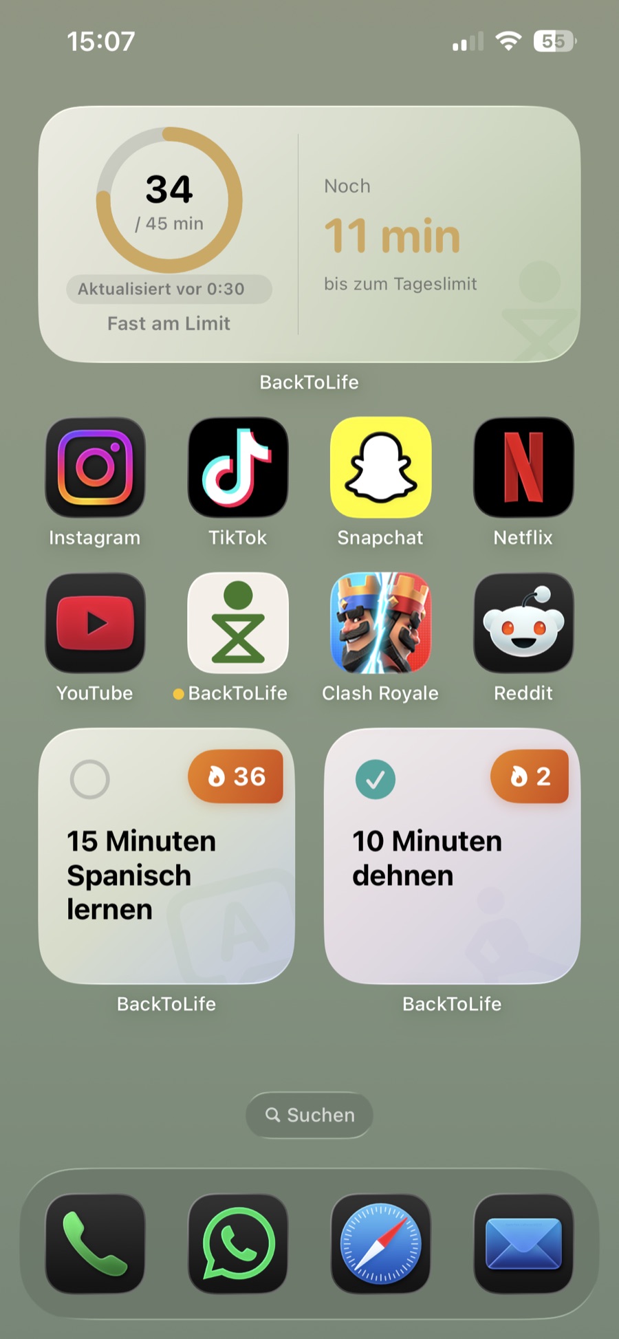 BackToLife Widgets auf dem Homescreen